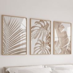 three framed pictures hang on the wall above a bed