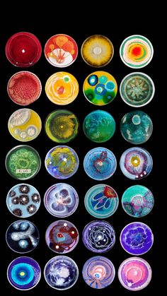 an array of different colored glass plates sitting on top of a black surface with white circles around them