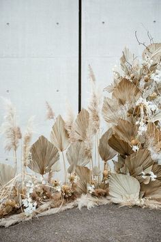 some very pretty flowers by the side of a white wall with lots of dried plants