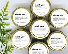 six tins with thank you written on them next to a potted green plant