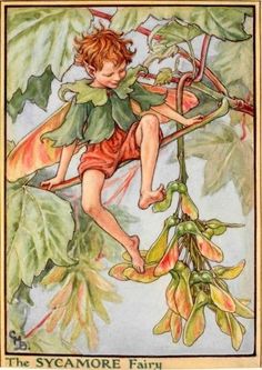 an illustration of a young boy on a tree branch with leaves and flowers around him