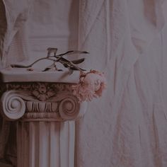 a pink flower sitting on top of a white pedestal next to a curtained window