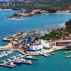 an aerial view of a marina with many boats