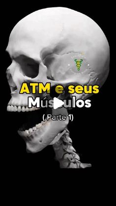 an image of a skeleton with the words atm seus musculos parte