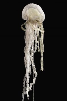 a white jellyfish floating in the air