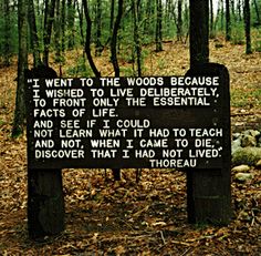 a sign in the woods that says i went to the woods because it was hard to live