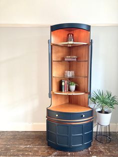 the corner cabinet is next to a potted plant