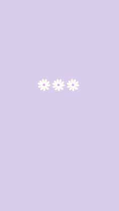 three white daisies on a purple background with space for the word'love '