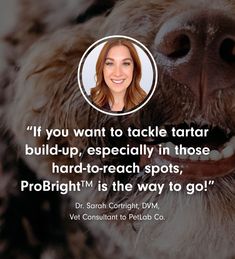 ProBright® Teeth Cleaning Routine, Paw Balm, Whiter Teeth, Hygiene Care, Dog Ideas, Gum Health