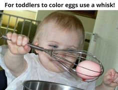 a baby holding a whisk and looking at an egg in it's bowl