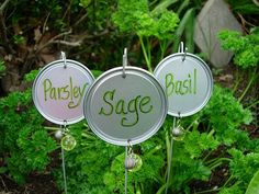 three garden markers with the words parsley sage on them in front of green plants