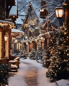 a snowy street lined with lit up christmas trees and lights in front of a house