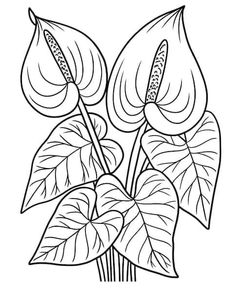 three flowers in a vase with leaves on the stems coloring page for adults and children