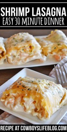 shrimp lasagna is an easy 30 minute dinner recipe