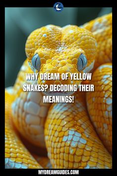 a yellow snake with the words, why dream of yellow snakes decoding their meanings?