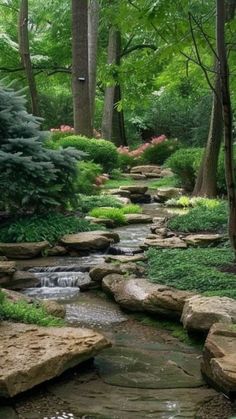 a stream running through a lush green forest filled with lots of trees and rocks,