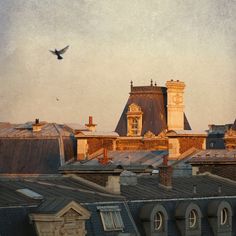 a bird flying over rooftops in front of a building with many chimneys and windows