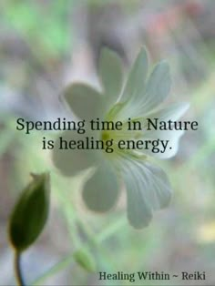 Spending time in Nature is healing energy Nature Is Healing, Citation Nature, Spending Time In Nature, Essential Oils Kit, Time In Nature, Intp, Nature Quotes, Intj