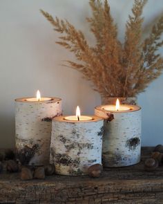 three white birch candle holders sitting on top of a wooden table