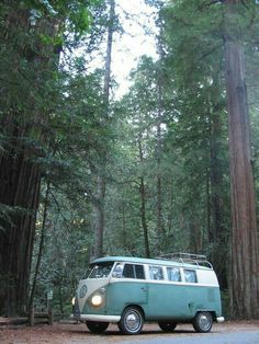 an old vw bus parked in the middle of a forest with lots of trees