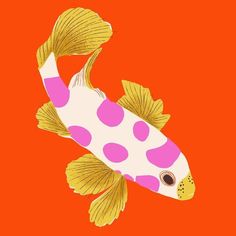 an orange and pink fish with yellow spots on it's back legs, standing in front of an orange background