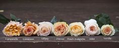 five different types of flowers are arranged in a row on a wooden surface with leaves