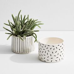 two pots with plants in them sitting on a table