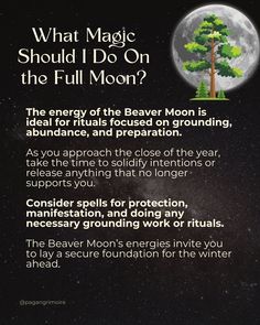 Connect with the calming, earthy energy of the Beaver Moon in November. This Full Moon is perfect for setting intentions, grounding yourself, and preparing for the winter months. Find inspiration for spells, rituals, journal prompts, and self-care ideas! #BeaverMoon #NovemberMoon #FullMoonMagic #GroundingEnergy Moon Magick