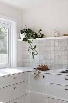 a potted plant sitting on top of a kitchen counter next to white cabinets and drawers