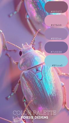 a close up of a beetle on a pink background with colors in the bottom right corner