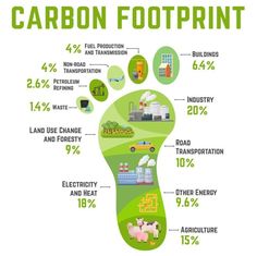 an info poster with the words carbon footprint and pictures of plants, animals, and other things