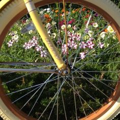 a close up of a bicycle tire with flowers in the background