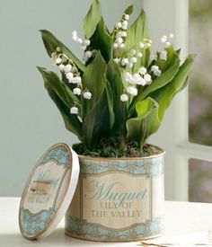 a potted plant with lilies in it and a sign that says upon arrival