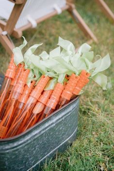 carrots are arranged in a bucket on the grass