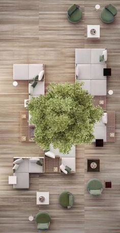 an overhead view of a living room with furniture and a green tree in the center