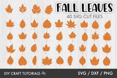 fall leaves svt cut files