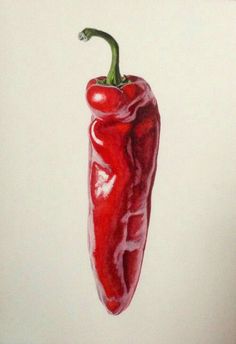 a painting of a red pepper on a white background, with the tip still attached