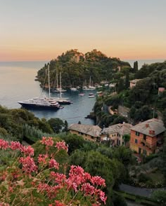 boats are docked in the water next to some houses and trees with pink flowers on them