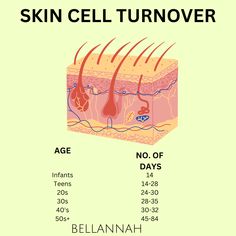 "The Science of Skin Cell Turnover and Aging! 📚🔬 As we age, our skin's renewal process changes. Stay ahead with an effective skincare routine to support healthy cell turnover and maintain that youthful glow! 🌟💧 #Skincare #AgingSkin #SkinCellRenewal #SkincareTips #YouthfulComplexion #HealthySkinJourney #BeautyFromWithin #SkincareRoutine #BeautyInspo #AgelessSkin #GlowingSkinTips" Skin Cell Turnover, Esthetics Education, Esthetician Education, Cosmetic Nurse, Esthetician School, Glow Skincare, Mary Kay Skin Care