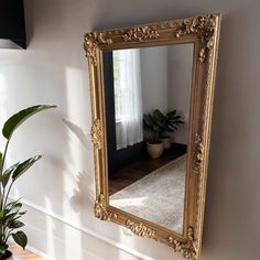 a large mirror hanging on the wall above a potted plant in a living room