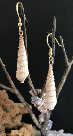 the earrings are made from shells and glass beads