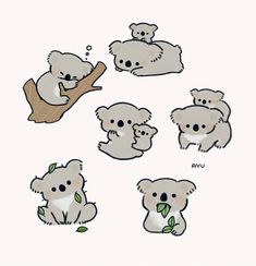 the koalas are all different sizes and colors, but they have leaves on them