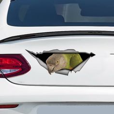 a white car with a bird sticking out of it's side window and looking through the hole