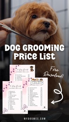 a dog grooming price list with the words dogs grooming price list on it