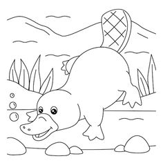 an animal that is playing with bubbles in the water coloring pages for kids and adults