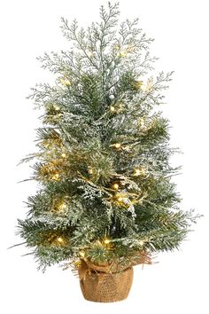 Spread Christmas cheer to compact spaces with this 2" Frosted Artificial Christmas Tree with LED Lights in Burlap Base. Inspired by nature and crafted from high-quality materials, this mini Christmas tree has lifelike bendable branches, allowing you to shape in your space, and add mini ornaments. To save you time and money, the faux tree comes with 35 LED lights for a cozy glow, allowing you to illuminate any space for years to come. Your artificial Christmas Tree will look beautiful for years to come; simply wipe clean with a soft dry cloth when needed. Christmas Tree With Led Lights, Led Christmas Tree Lights, Silk Floral Arrangements, Faux Tree, Mini Ornaments, Mini Christmas Tree, Artificial Tree, Mini Christmas