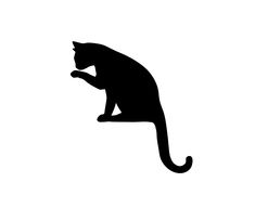 a black cat sitting on top of a white wall with its paw in the air