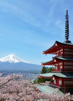 a tall red building sitting under a snow covered mountain next to cherry blossom trees in the foreground