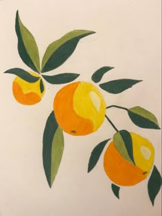 a drawing of three oranges with green leaves on them, and two yellow ones