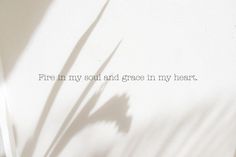 a plant casts a shadow on a wall with the words fire in my soul and grace in my heart